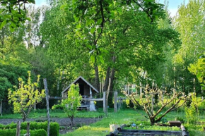 Lovely cottage with big garden_Razines